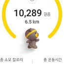 유보라상회 이미지