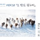 김종근 작가님...세번쩨 이야기 HORSE "눈 빛으로 달리다" 이미지