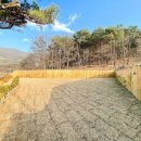 빵순돌이네 하우스 이미지