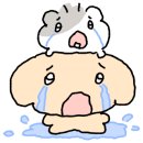 홍가숯불신꼼장어 이미지