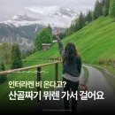 1638 | 스위스 라우터브루넨 뮈렌 하이킹 후기 | 인터라켄 날씨 비올 때 코스 추천