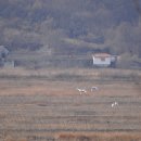 동주농장 이미지