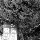 동해시-03 이미지