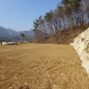 양평-용문-용문-6 이미지