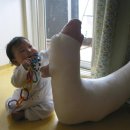 준 꼬꼬 이미지