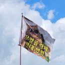 고연락 | 갈테야테야 페스티벌에 갈테야