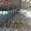 강원축산 이미지