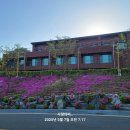 보현산자연휴양림 티스토리