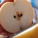 한우한마당 이미지