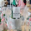 진1리 마을회관 네이버블로그