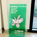 원곡초등학교 | 평택안성 꽃 수업 누즈플라워 화훼장식기능사 2025, 2026년 화훼장식기능사 실기 준비 OT 후기