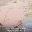 김정국한의원 이미지