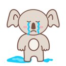 바른정육점 이미지