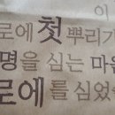 김정문알로에도원점