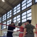 압구정 라이프 복싱 이미지