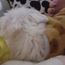 부일로711번길 이미지