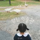 아산신그린 | 거위를 만날 수 있는 미술관 아산 아이랑 가볼만한곳 체험 카페 맛집 바닥화 | 당림미술관