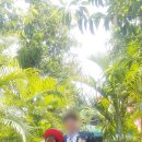 CP커플국제결혼 이미지