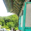 7월10일 백중기도 입재일,주지스님법문! 이미지
