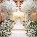 지에스25 남대전IC점 | 💍W.1 대전 26년 웨딩홀(라도무스,라포르테,라비에벨,메종드보네르) 투어 당일계약 후기