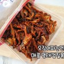오징어파는언니 이미지