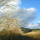 사랑의언덕 이미지