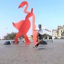 코즈모인터내셔널 이미지