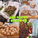 홍천종합가스 | 강원도 가볼만한곳 홍천 산나물축제 기본정보 먹거리 가격