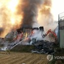 옥산리목장 이미지