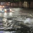 이례로-1 이미지