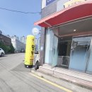 포항애견