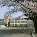 금산여자중학교 이미지