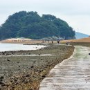 2025.4.29(화)당진,장고항(국화도~도지섬~매박섬)섬 트레킹 이미지