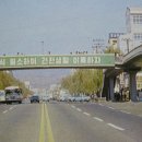 남산중앙약국 이미지