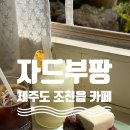 제주 동쪽 카페 조천 자드부팡 숲속카페 벽돌빵 추천