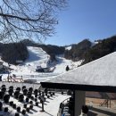 오드아이키즈풀빌라 이미지