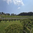 양지목장 이미지