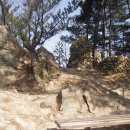 구미여자중학교 이미지