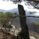 동상농장 이미지