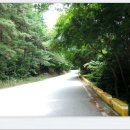 선비 코스 이미지