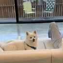 스테이우드 이미지