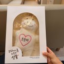 자연생각 | 자연생각 오가닉 말띠 태명인형 후기 , 임신선물 애착인형 선물