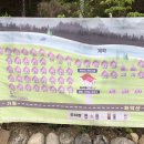 오래캠핑장 이미지