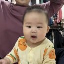 스완이브