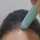 목련헤어라인 네이버블로그