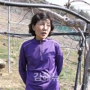 동일농원 이미지