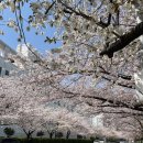 메가마트옆길 이미지