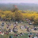 이천백사산수유