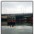 대관령 사파리 목장 이미지