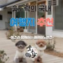 엘까미노 이미지